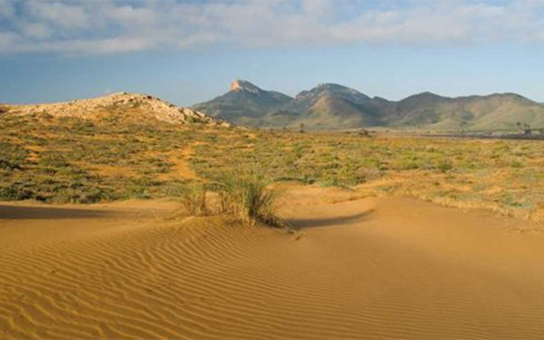 Los espacios protegidos de la Región de Murcia cumplen treinta años aislados y sin planes de gestión