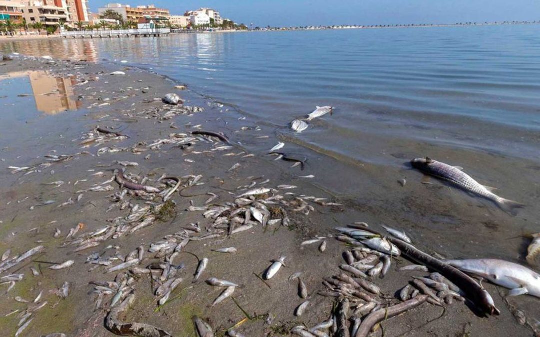 Entrevista al Dr. Francisco Javier Sanz Larruga